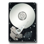 IdealOffice, HDD Server SEAGATE Barracuda ES 7200.2 /250GB /7200rpm /16MB cache /Serial ATA II-300/1-pk/ST3250610NS/168   