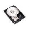 IdealOffice, HDD Server SEAGATE NL35 /500GB /7200rpm /8MB cache /Serial ATA II-300/1-pk/ST3500841NS/333   