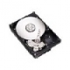 IdealOffice, HDD Server SEAGATE NL35 /500GB /7200rpm /8MB cache /Serial ATA II-300/1-pk/ST3500841NS/333 лв с ДДС